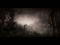 Diablo 2 - Tristram (HQ) 