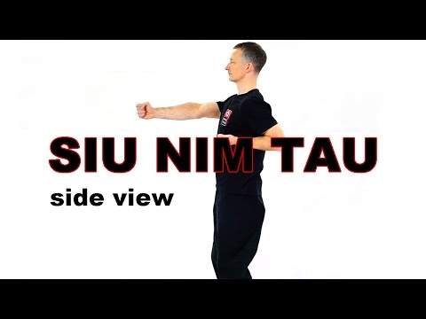 Siu Nim Tau Form - side view