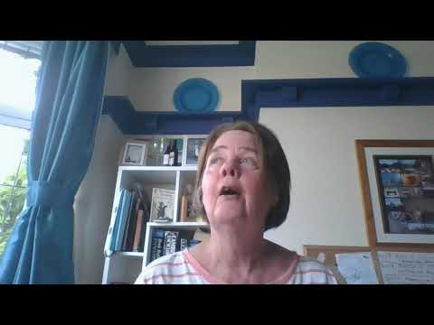 Video 4