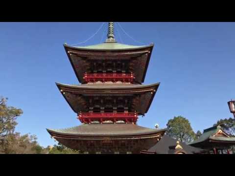 Japan guide "Naritasan shinshoji temple" in Chiba, Japan ［4K］