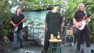 Drown In My Own Tears - The Smithereens Live at the 2016 Memorial Day BBQ