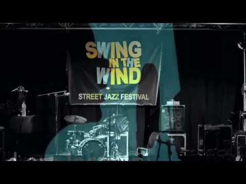Swing in the Wind 2014 - Lara Iacovini