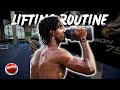 FULL BODY LIFTING ROUTINE: BEGINNERS EDITION