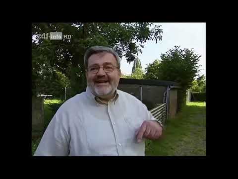 (Doku) ZDF History - Antenne West - Das Fernsehen und die Einheit/HD