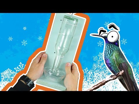 Porta mangime per uccellini fai-da-te: pratico e grazioso!