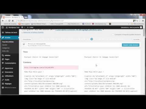 Tutoriel Wordpress 17 Les révisions
