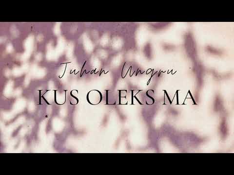 Juhan Ungru - Kus oleks ma