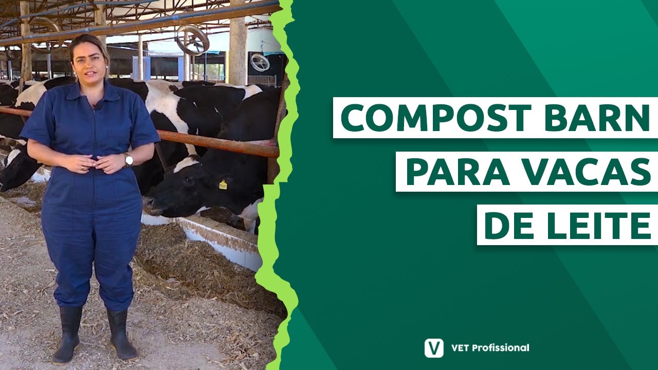 Sistema de Confinamento Compost Barn