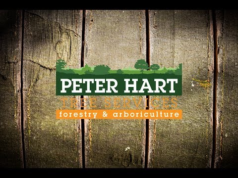 Five Flow Media video.