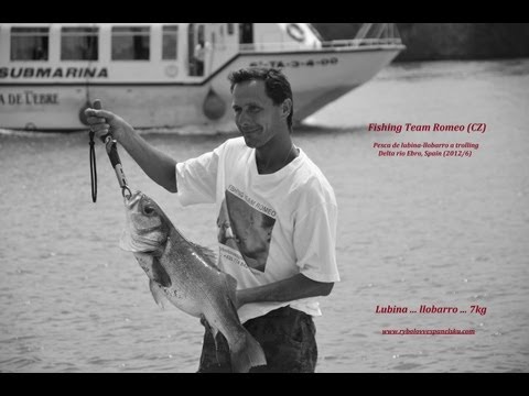 Lov bluefish na trolling v deltě řeky Ebro 3.díl