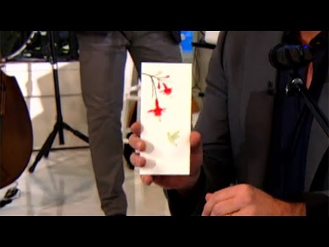 A Letter From Harry's Daughter