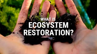 What is ecosystem restoration?
