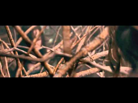 Evil Dead (2013) - Tree Rape scene