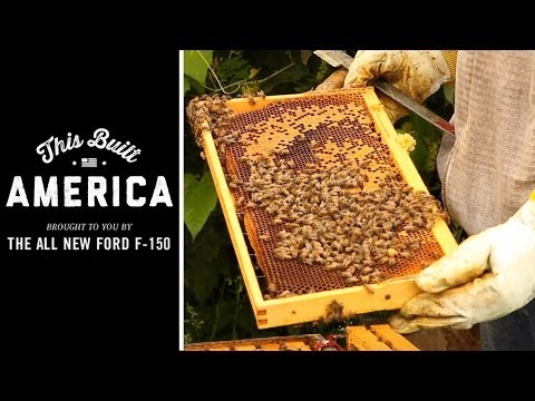 image-Who is the Walter t.kelley beekeeping company?Who is the Walter t.kelley beekeeping company?