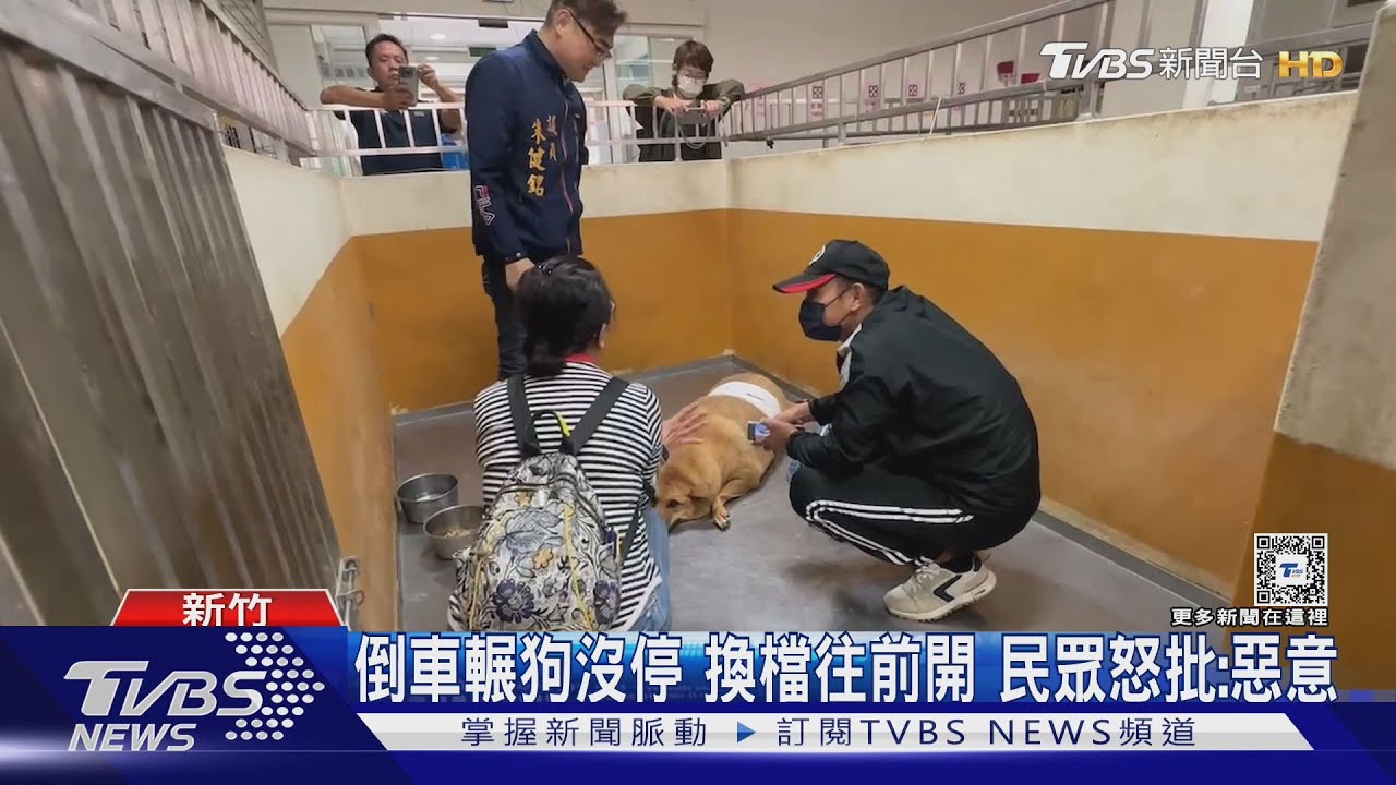 倒車輾狗沒停換檔往前開 民眾怒批:惡意