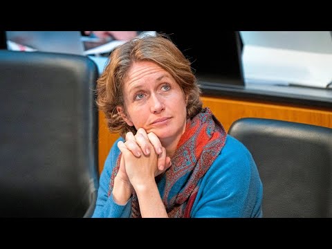 Warum Neos-Abgeordnete Stephanie Krisper ihr Mandat zurücklegt