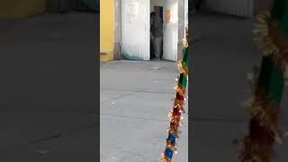 Se venden las flores del 12 de diciembre