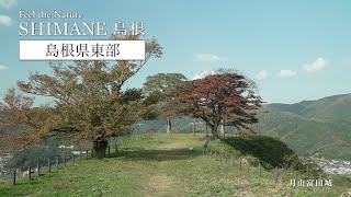 vignettes vidéo