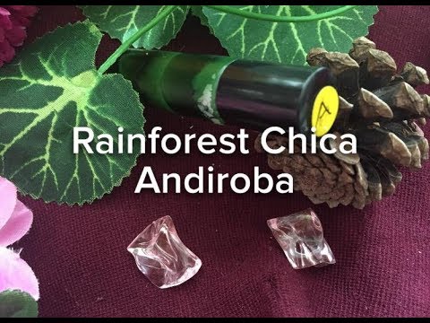 ANDIROBA OIL REVIEW | RAINFOREST CHICA
