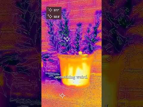 vp-tech01