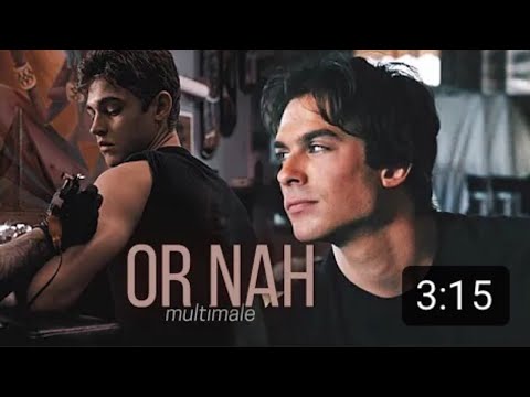 Multimales || Or nah