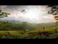 WhatsApp Status Malayalam Songs Malayalam Idukki Whatsappstatus