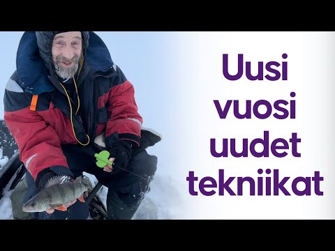 Taas opittiin uutta - Uuden vuoden ensimmäiset ruokakalat - Ahvenen pilkintä - Kalastus - Fiske