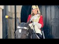 King S Horse Keep SNIFFING And A LOUD FART Multiple Times Tourist Non STOP LAUGHING