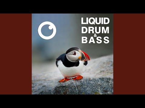 Liquid Drum & Bass Sessions #50
