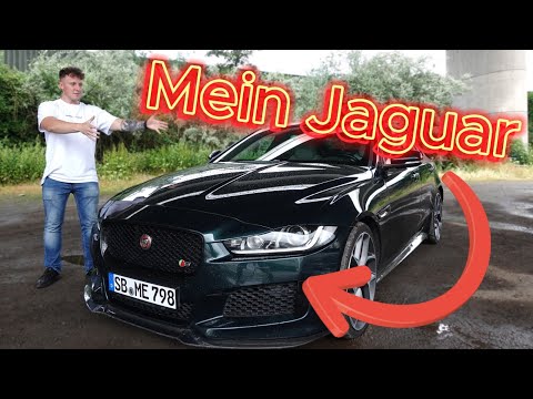 Warum will NIEMAND diesen TRAUMWAGEN? 😮 | Jaguar XE S (2017) : Was ich mag/nicht mag!