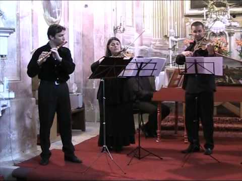 Minuet - J.S.Bach: Suite no.2 in b minor BWV 1067 - 6 - Mate Palhegyi flute