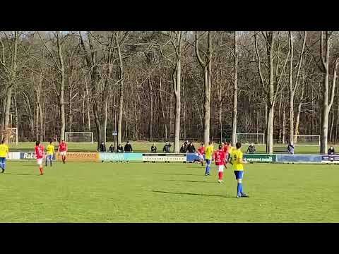 Mika Dedic ( CM ) Rood-Wit W.