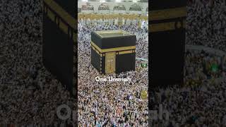 Download lagu One Ummah Nasheed | Beautiful Islamic Song About Unity  #OneUmmah #Nasheed #IslamicShorts mp3