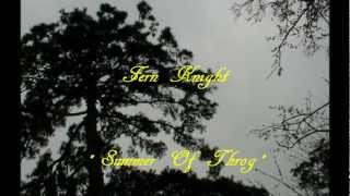 Fern  Knight - 