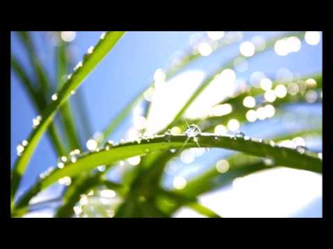 Rosano. Freundschaft