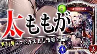 ヴァンパイア絶傑さらなる強化か！？「姦淫の狂信者」を紹介しようと思ったが無理でした。。【シャドウバース】【新カード】
