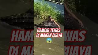 Download lagu Detik-Detik Mengerikan! Buaya Hapir Telan Manusia #shortshewan #animals #Buaya #Crocodile #wildlife mp3