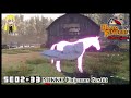Barn Finders SE02 33 MIKKO Unicorns Gestüt Deutsch German Gameplay