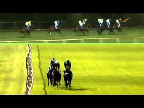 18.04.2014 Bremen 6.Rennen George C. Muhle Gedächtnis-Rennen - (D) 2.100 m