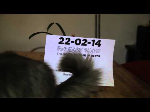 The Sweet Release of Death - Ghosts in Fur Coats (Album Preview)