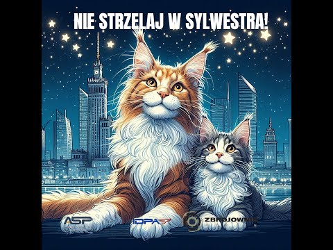 Powrót do (braku) formy, czyli "Nie strzelaj w sylwestra" IDPA by ASP