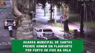 Guarda Municipal de Santos prende em flagrante homem que furtava fios na orla
