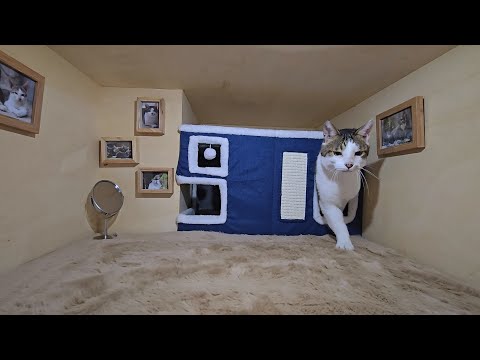 I made a room for Mu