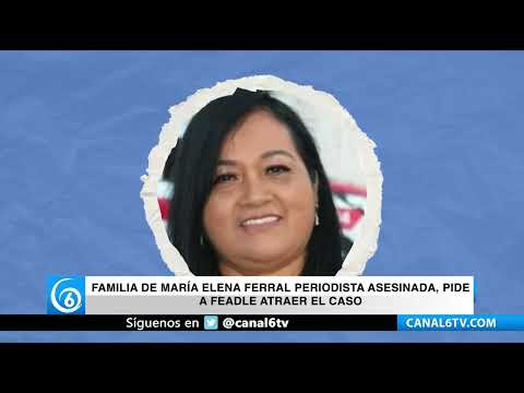 Video: Familia de María Elena Ferral periodista, pide a la FEADLE atraer el caso