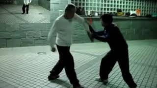 散手套路與雙人演練