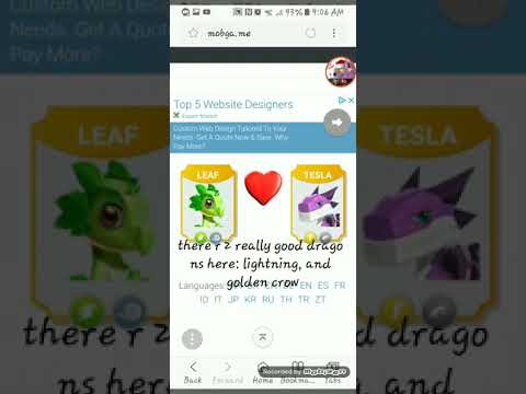 DML | CUPID DRAAAAAAGON