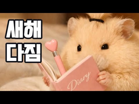 중요한 것은 다짐