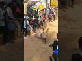 Sad Moment Bull Dashing Current Pole Komaragunta Jallikattu Chittoorjallikattu Runwithvinay