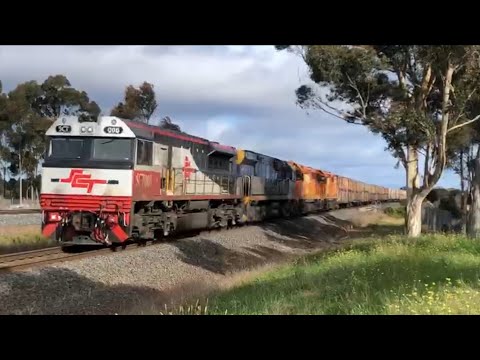 LZ classes on SCT freight! | 4PM9 at Little River