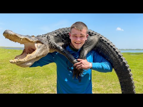 This Alligator Has Become a Serious Problem